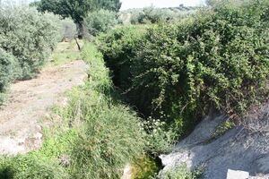3 arroyo carchena a 2km de Nueva carteya .JPG