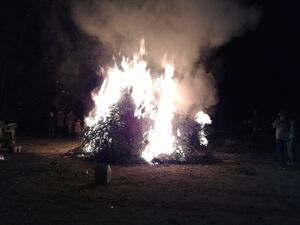 Candelaria-muriano-7.jpg