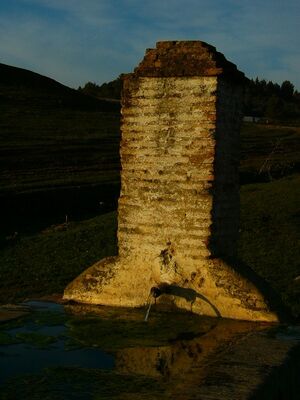 12173741.JPG