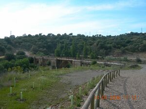 Cañada Real Soriana 1.JPG