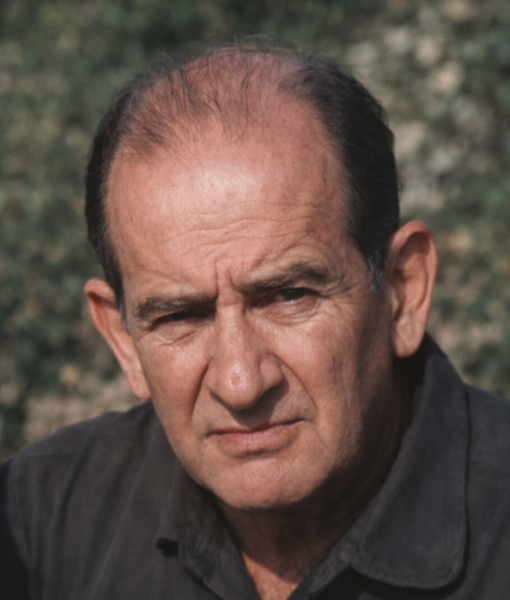 Archivo:Juan Barasona Santaló.png