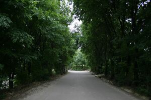 Camino Ruta Fuentes.JPG