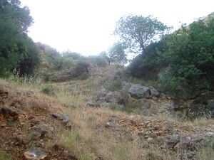 DSC01254.JPG