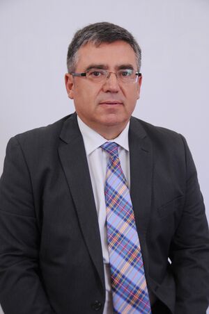 MADRID OLMO.JPG