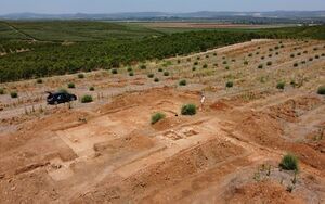 Yacimiento Bombo 2025 - 1.jpg