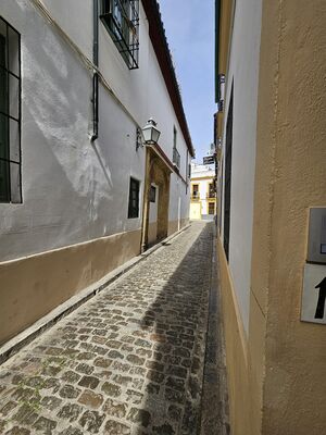 Fachada del convento de Santa Cruz en la calle Buen Pastor.jpg