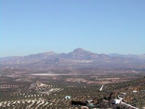 Laguna del Salobral 5.jpg
