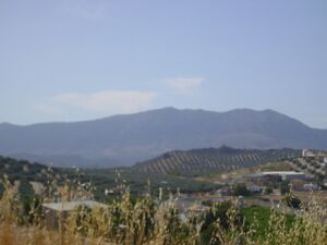 IMG 0423.JPG