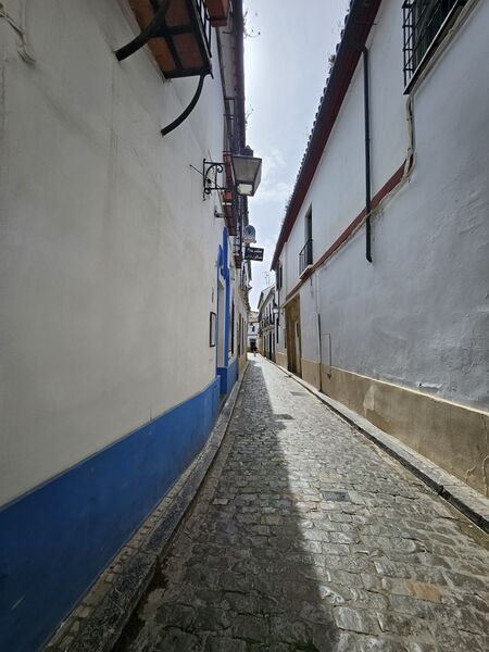 Archivo:20260423 115156.jpg