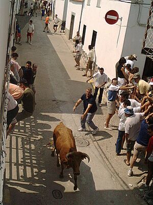 Encierros.jpg