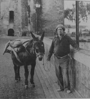 José Pérez de la Haba (piconero) años 70.jpg