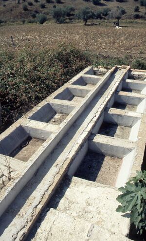 Fuente de Penalosa 1998-199 3.jpg