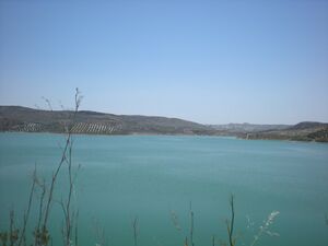 Embalse vadomojon baena 9.jpg