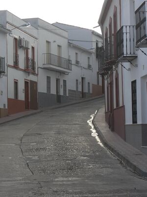 Constitución11.jpg