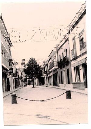 Arco-Navidad-Calle-Portales-12-92.jpg