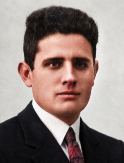 Alfredo Romeo Viamonte